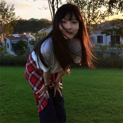 沙鸥