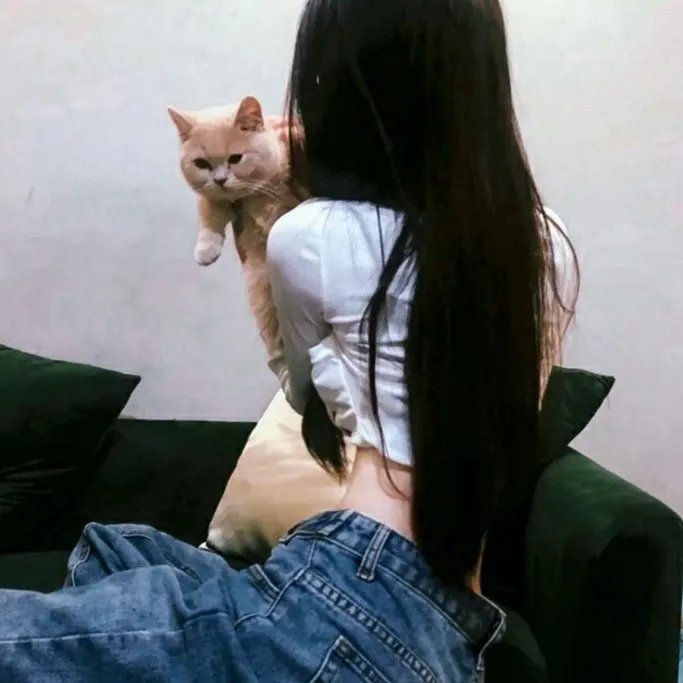 猎狐娇娃